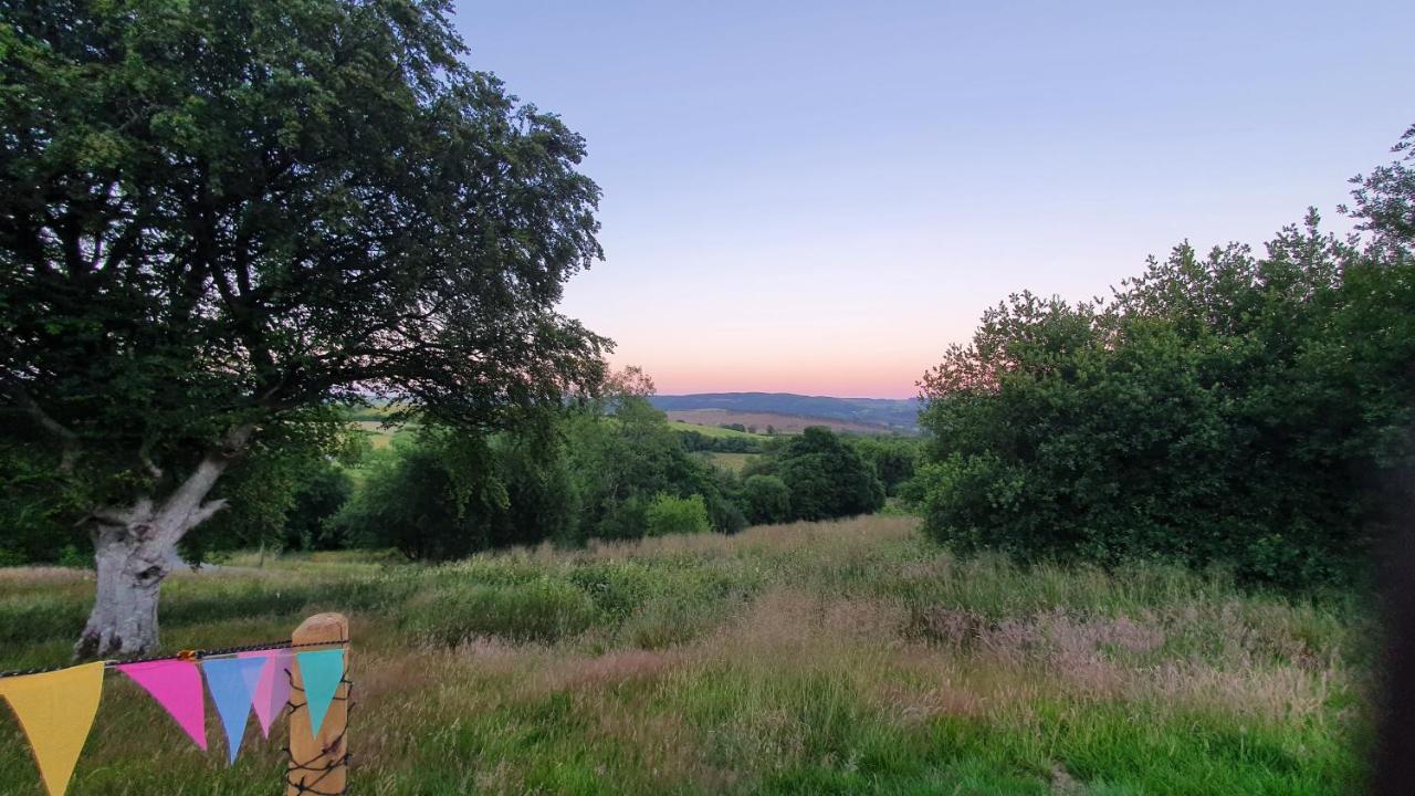 Calon Y Goedwig Glamping Hotell Llandovery Eksteriør bilde