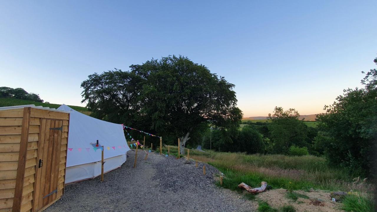 Calon Y Goedwig Glamping Hotell Llandovery Eksteriør bilde