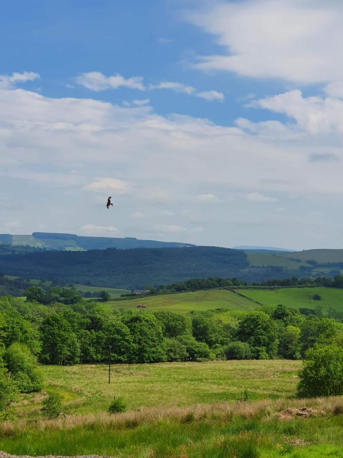 Calon Y Goedwig Glamping Hotell Llandovery Eksteriør bilde