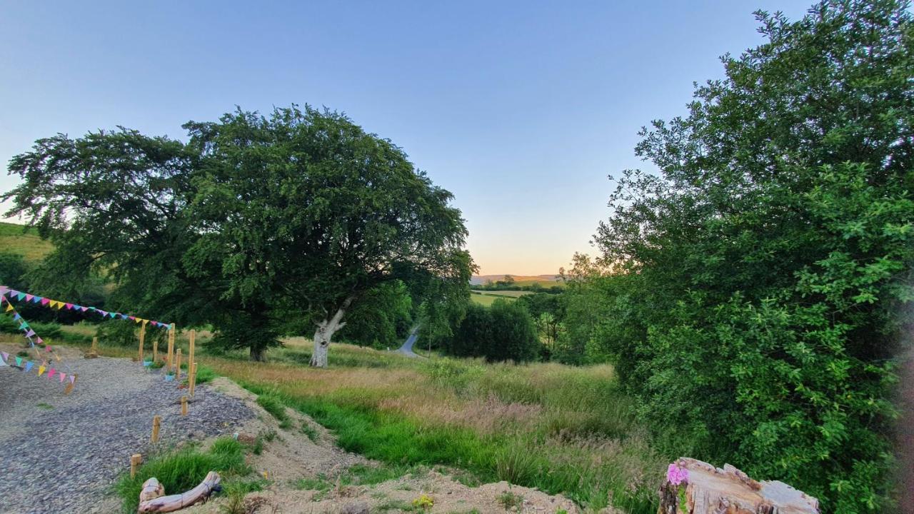 Calon Y Goedwig Glamping Hotell Llandovery Eksteriør bilde
