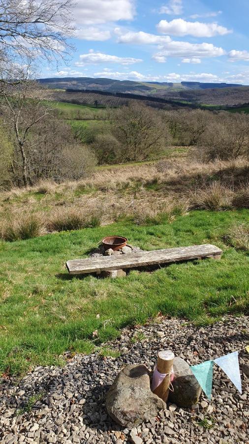 Calon Y Goedwig Glamping Hotell Llandovery Eksteriør bilde