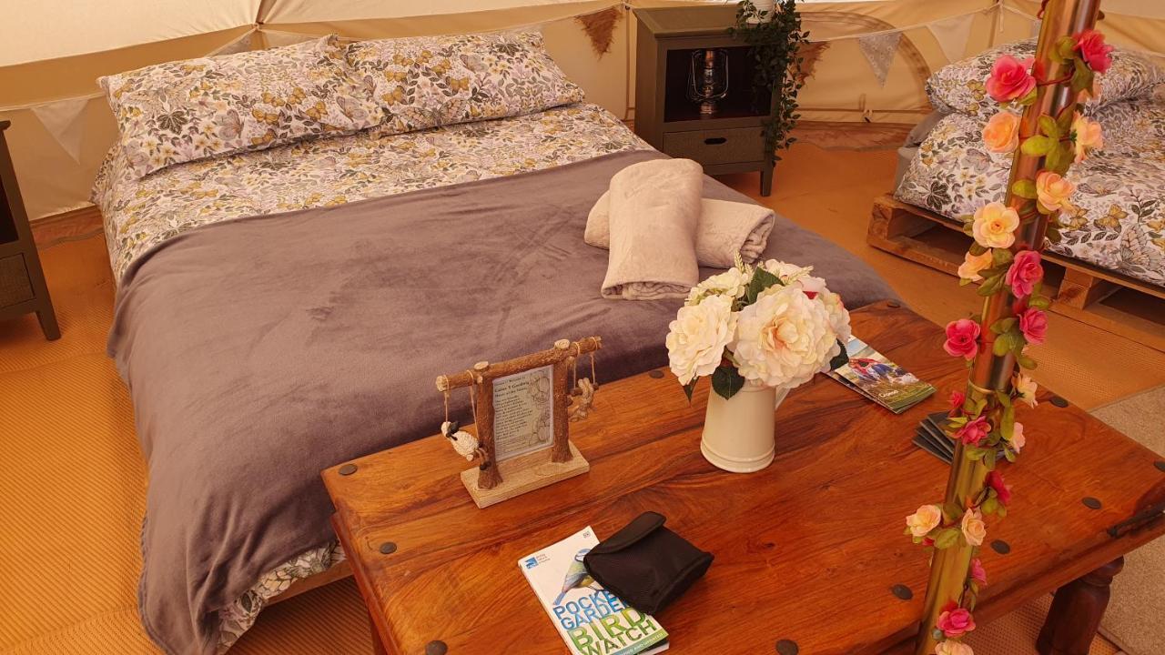Calon Y Goedwig Glamping Hotell Llandovery Eksteriør bilde