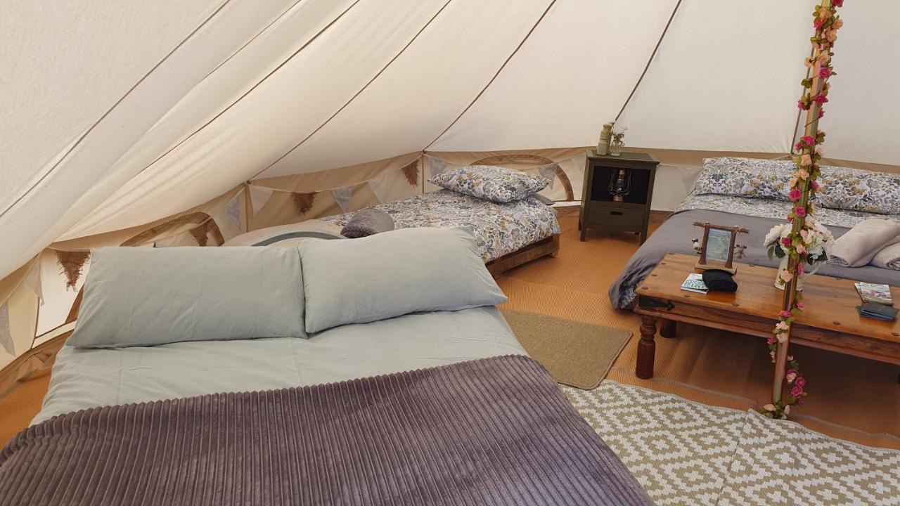 Calon Y Goedwig Glamping Hotell Llandovery Eksteriør bilde
