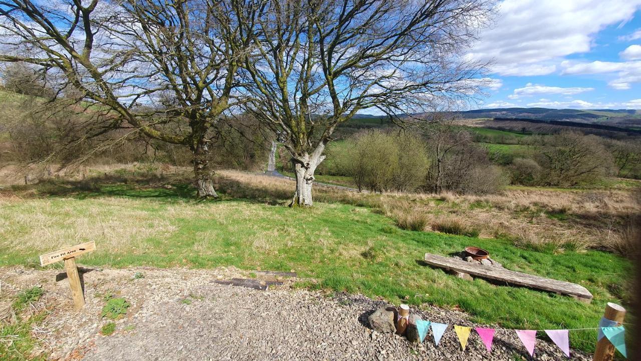Calon Y Goedwig Glamping Hotell Llandovery Eksteriør bilde