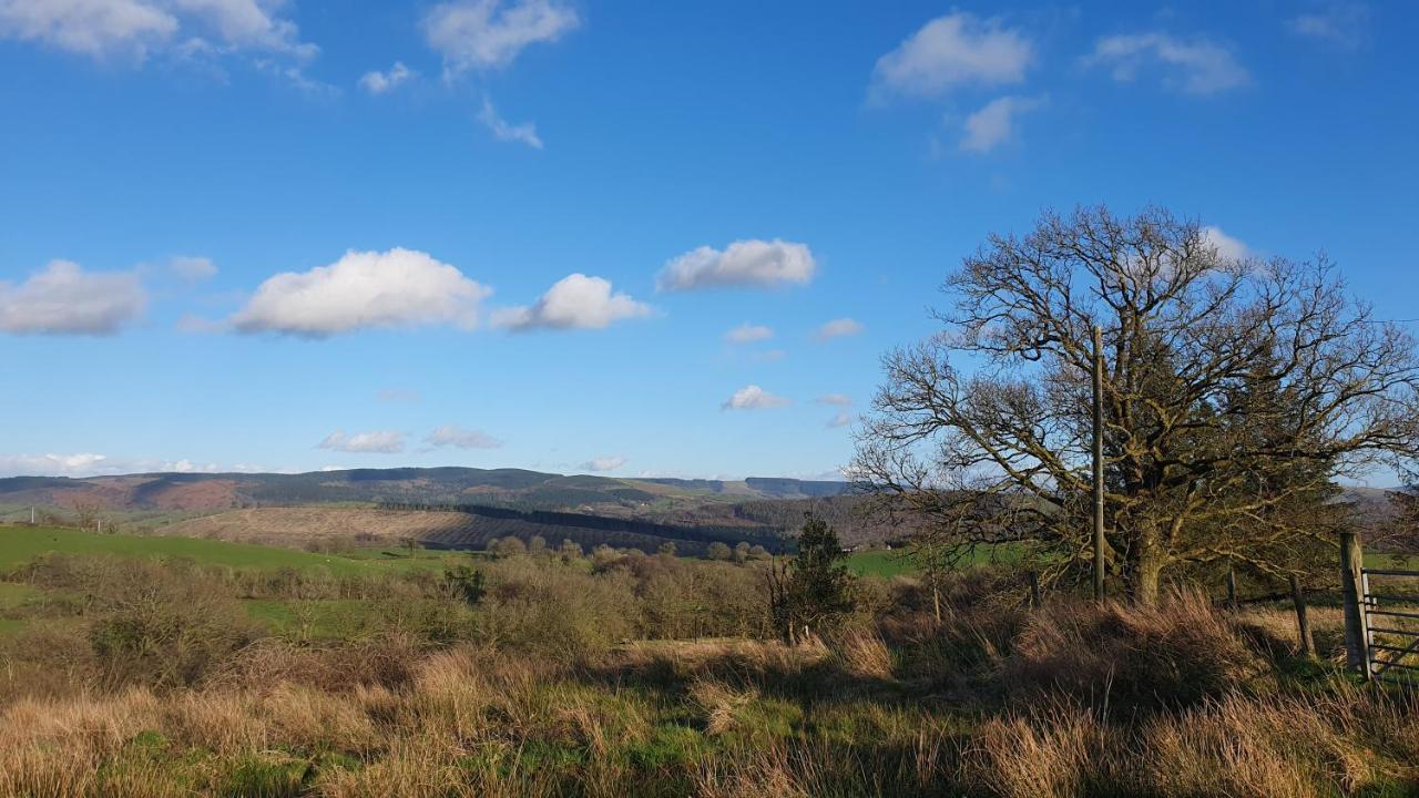 Calon Y Goedwig Glamping Hotell Llandovery Eksteriør bilde