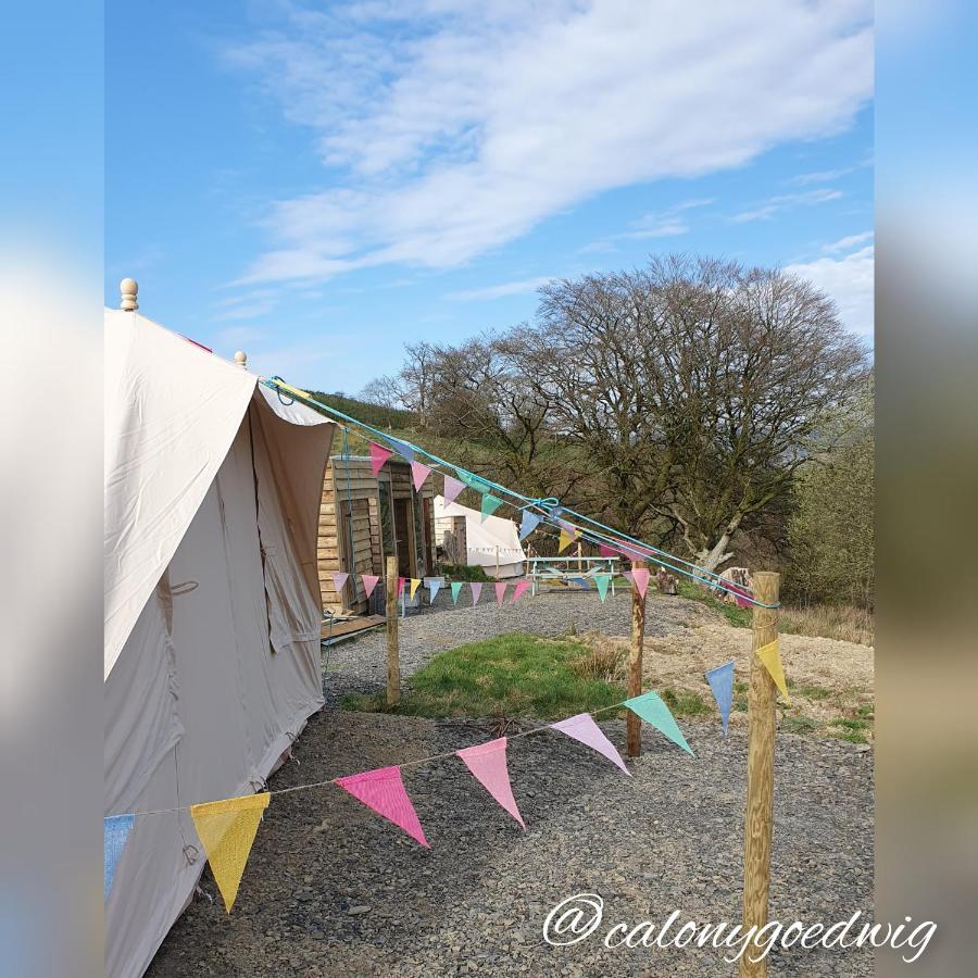 Calon Y Goedwig Glamping Hotell Llandovery Eksteriør bilde