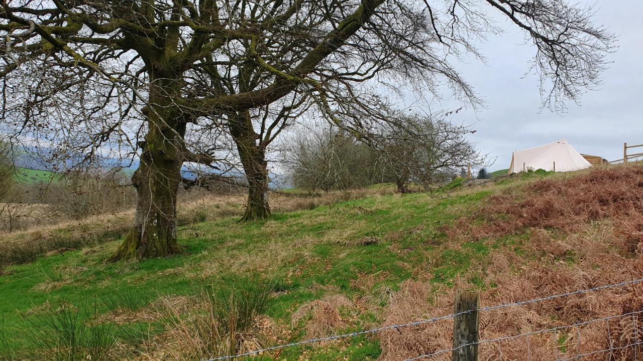 Calon Y Goedwig Glamping Hotell Llandovery Eksteriør bilde
