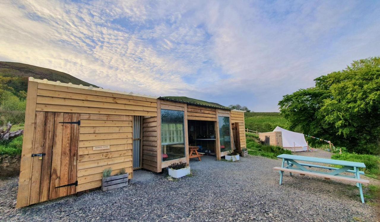 Calon Y Goedwig Glamping Hotell Llandovery Eksteriør bilde