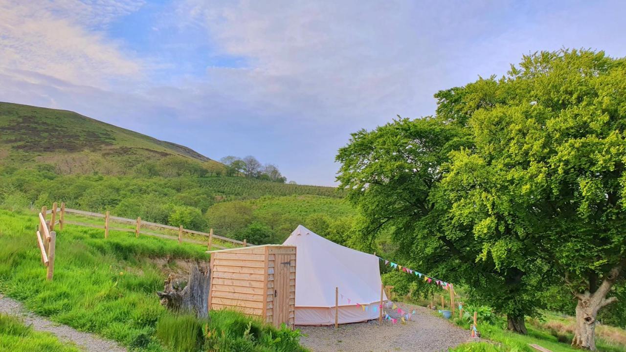 Calon Y Goedwig Glamping Hotell Llandovery Eksteriør bilde