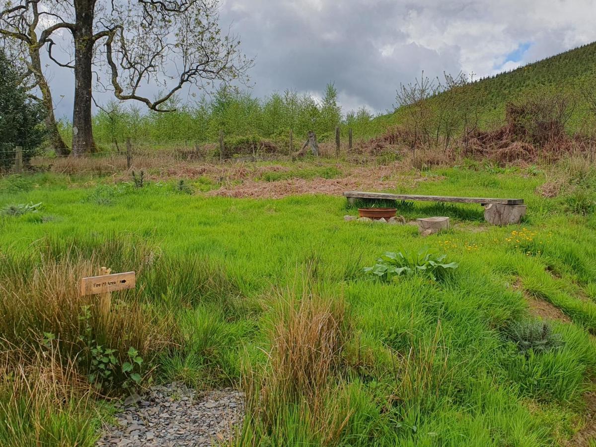 Calon Y Goedwig Glamping Hotell Llandovery Eksteriør bilde