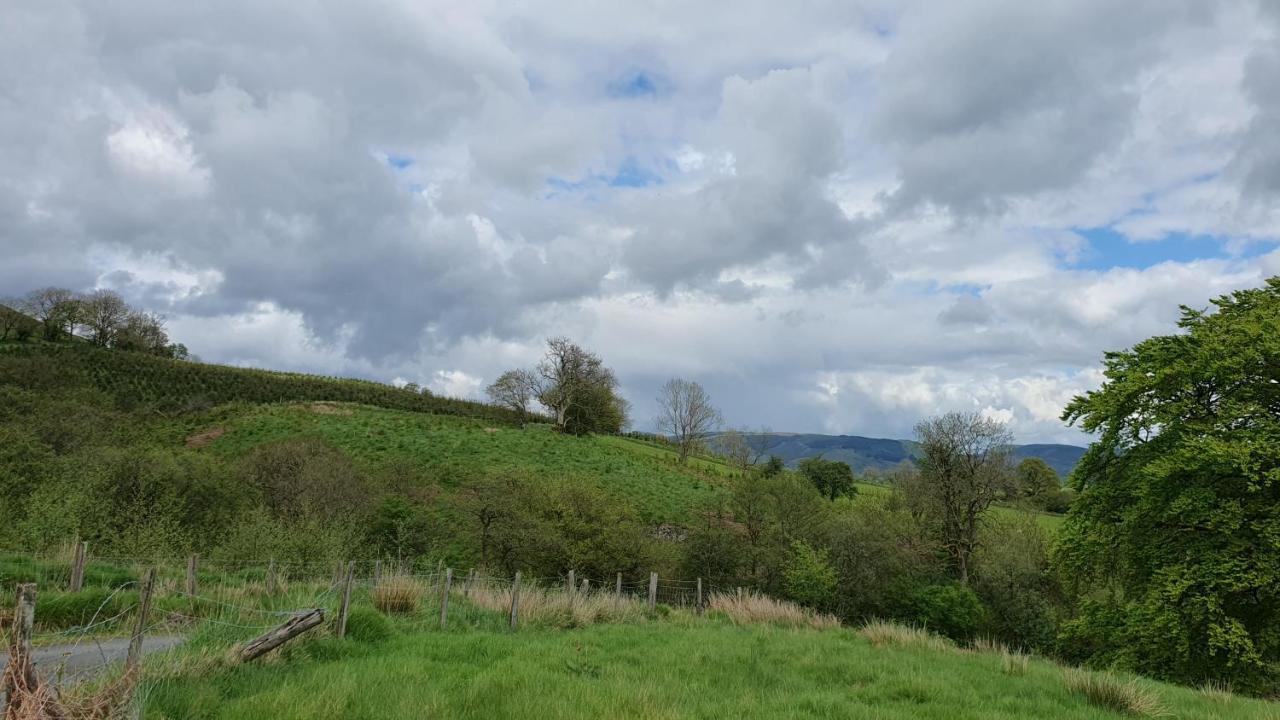 Calon Y Goedwig Glamping Hotell Llandovery Eksteriør bilde