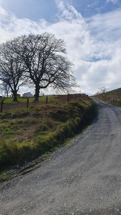 Calon Y Goedwig Glamping Hotell Llandovery Eksteriør bilde