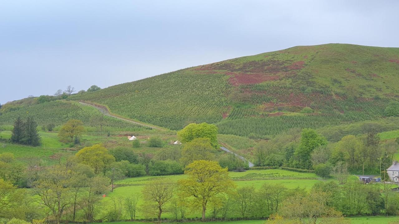 Calon Y Goedwig Glamping Hotell Llandovery Eksteriør bilde