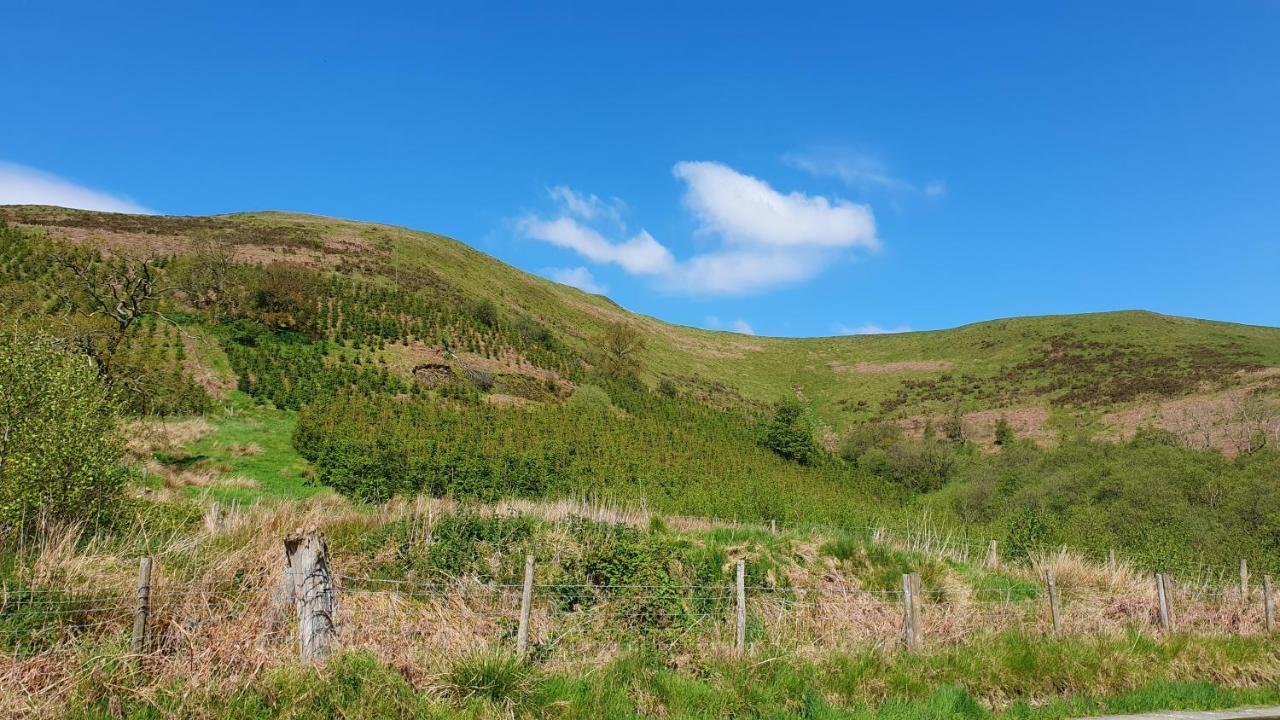 Calon Y Goedwig Glamping Hotell Llandovery Eksteriør bilde