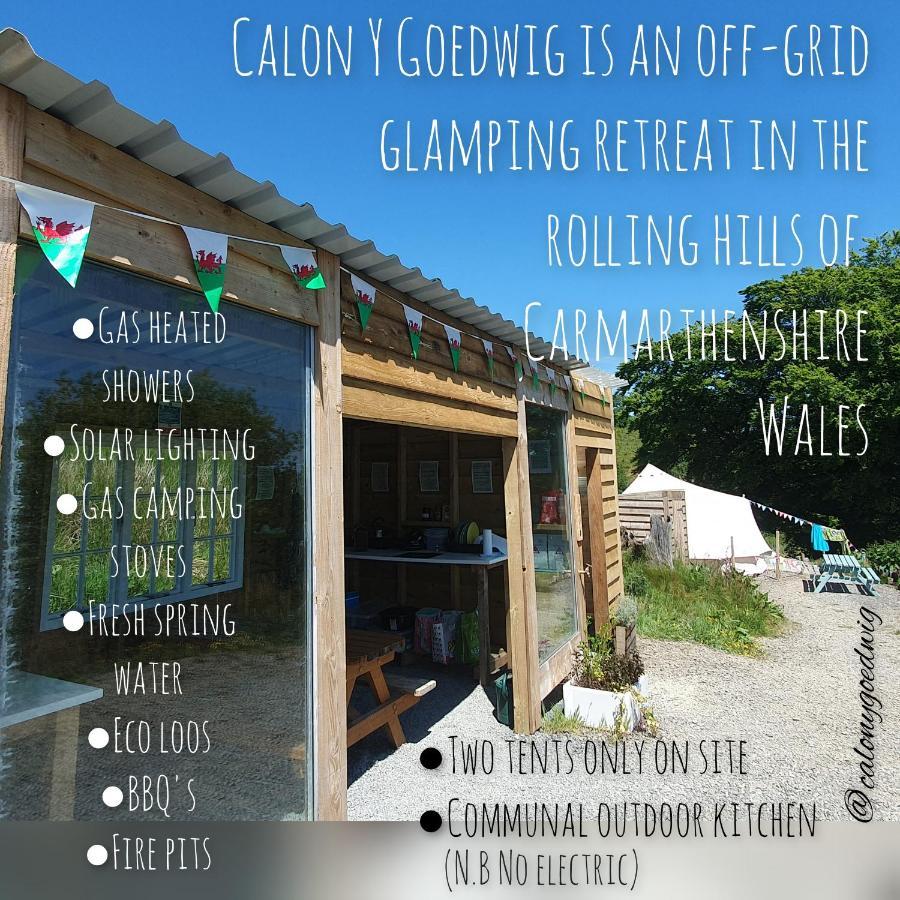 Calon Y Goedwig Glamping Hotell Llandovery Eksteriør bilde