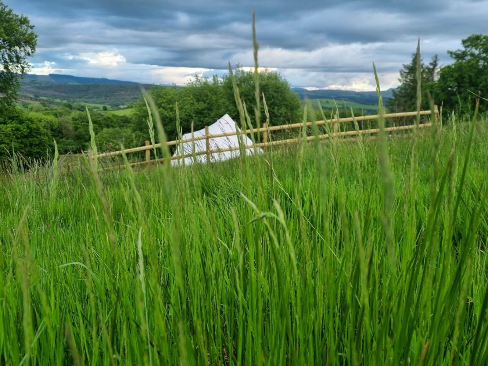 Calon Y Goedwig Glamping Hotell Llandovery Eksteriør bilde